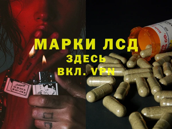 стафф Алексин