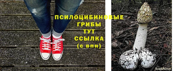 прущий лед Аркадак