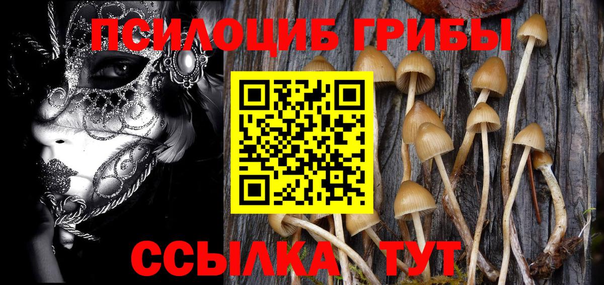 Междуреченск  Псилоцибиновые грибы GOLDEN TEACHER  Псилоцибиновые грибы Cubensis  Вход с VPN 